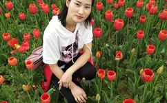 中文在线3月31日快速反弹